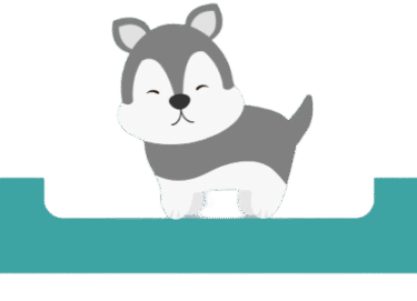 Puppy NO BACK (1)